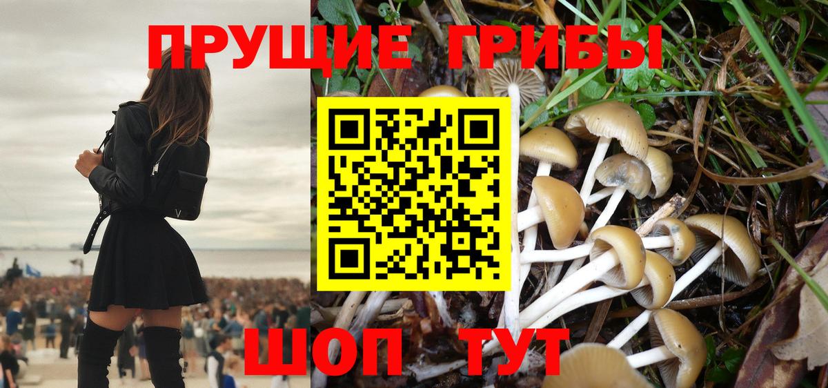 Назарово  Псилоцибиновые грибы Magic Shrooms  Вход с VPN 