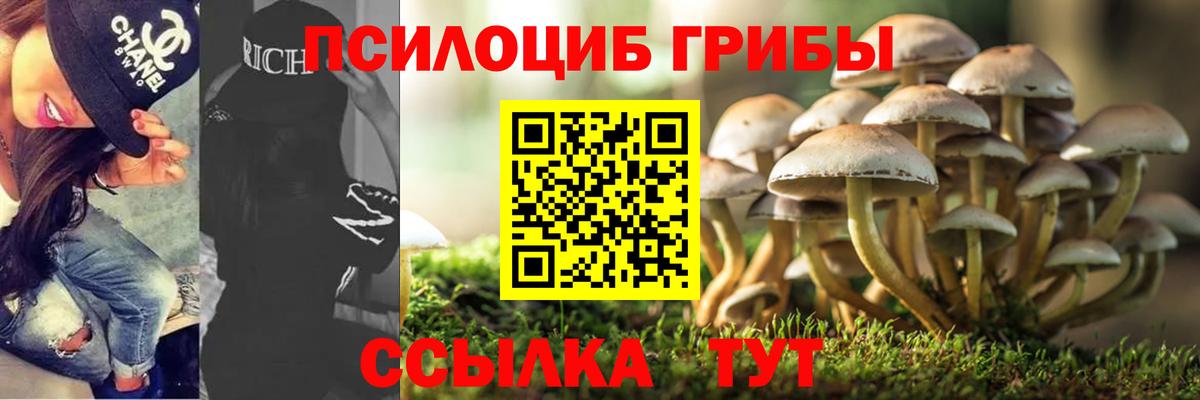 Галлюциногенные грибы Psilocybine cubensis Назарово